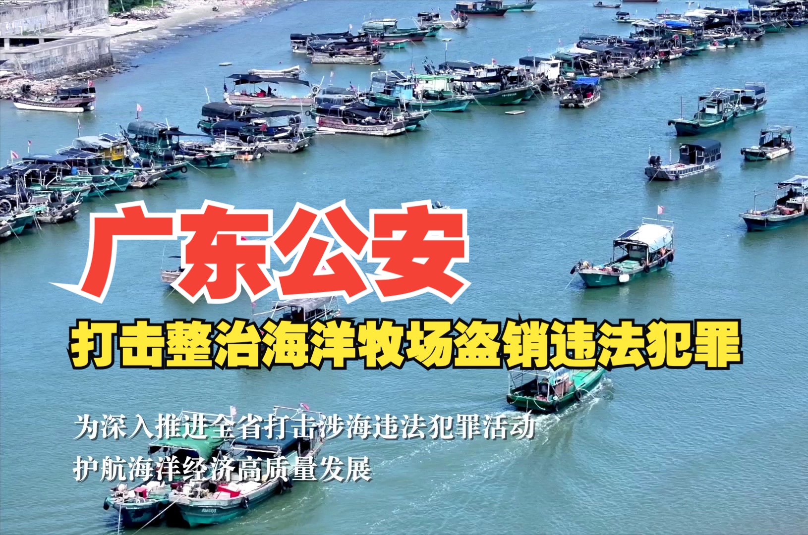广东公安:打击整治海洋牧场盗销违法犯罪