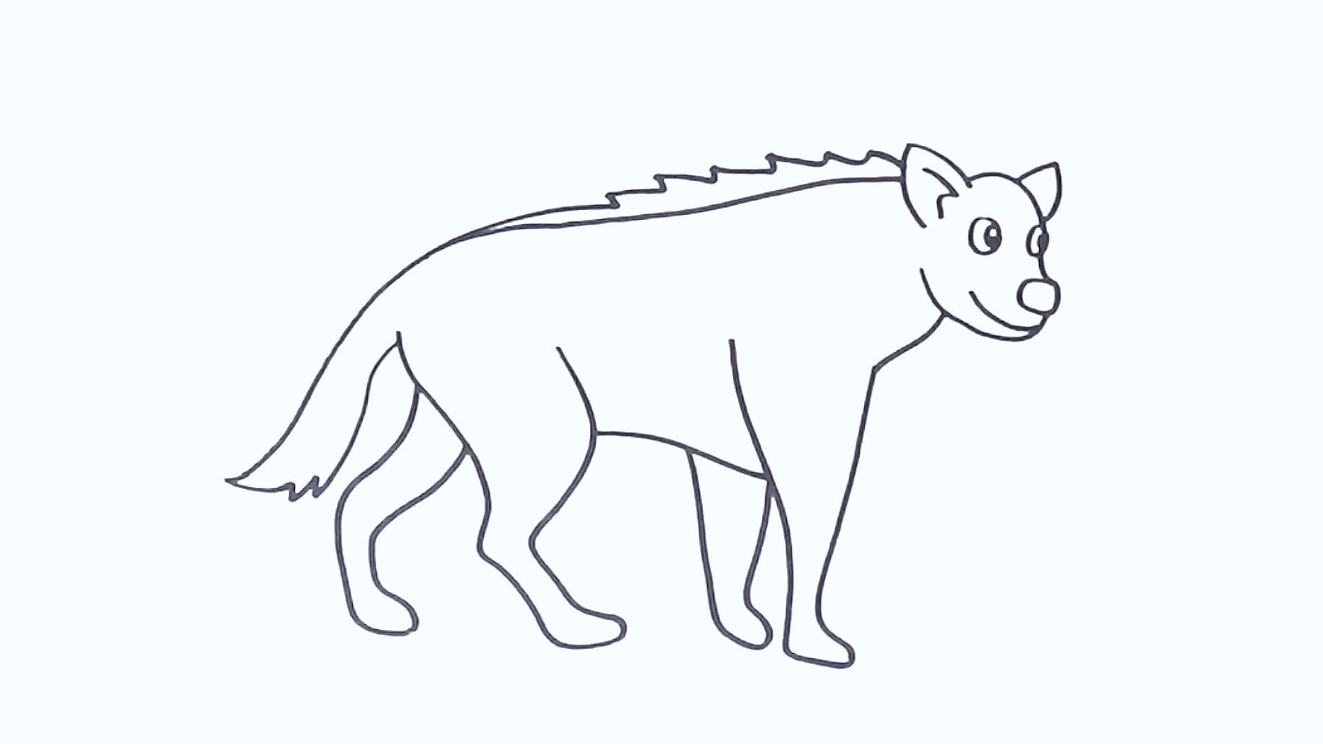 今天我们来画一只鬣狗!