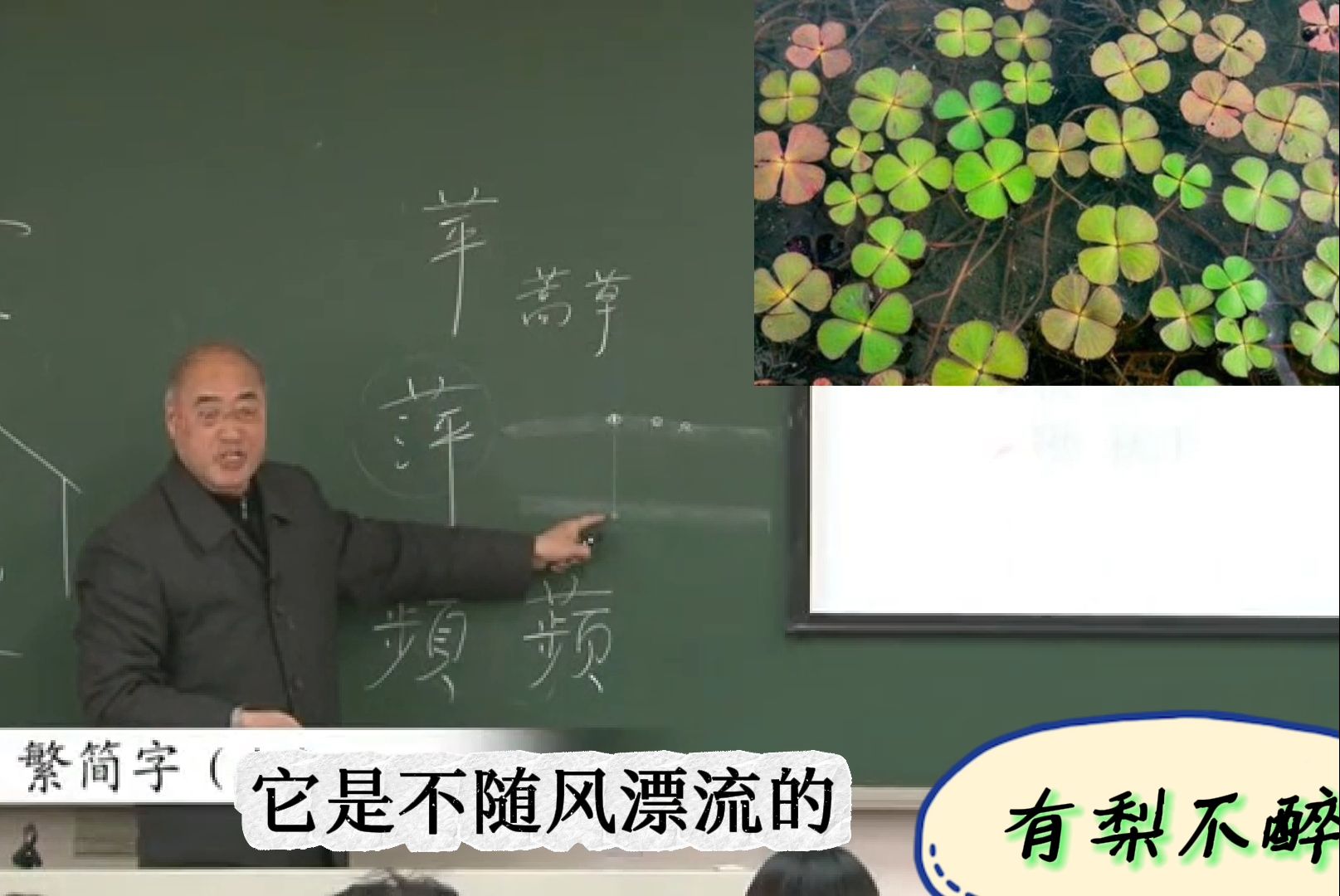 繁简字07里、帘、了、么、面、蔑、宁、辟、苹【高小方/南京大学/古代汉语/文言文/中考/高考/初中/高中/古汉语】哔哩哔哩bilibili