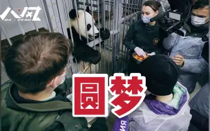 下载视频: 俄罗斯重病男孩许愿拥抱熊猫，总统普京助其圆梦