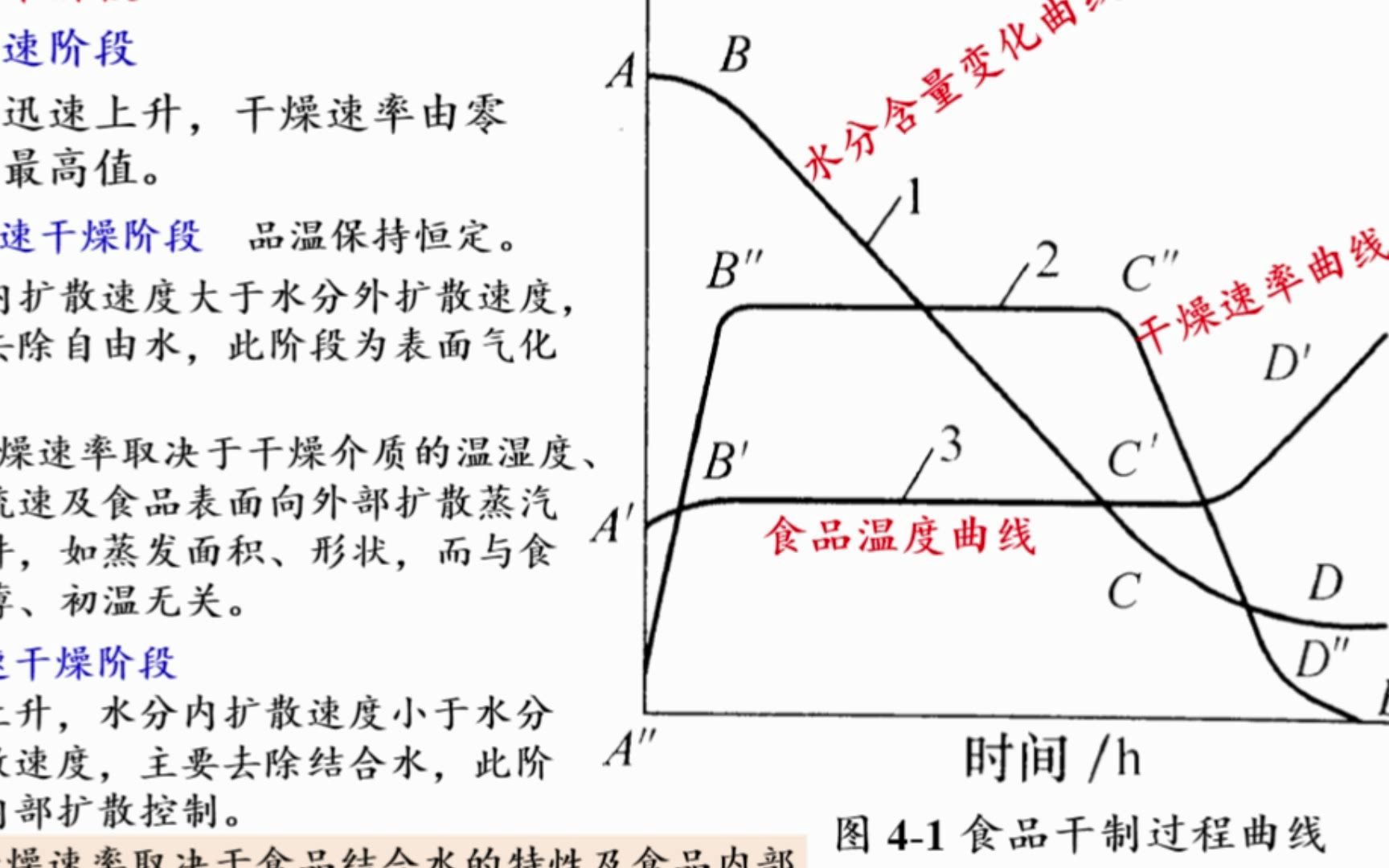 食品工艺学,果品蔬菜加工工艺之第四章果蔬干制哔哩哔哩bilibili