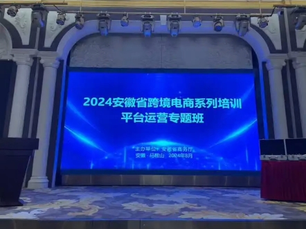 2024年,安徽宣城在短短三年内冒出了200多家跨境企业,引发市场广泛关注#跨境电商 #跨境企业哔哩哔哩bilibili