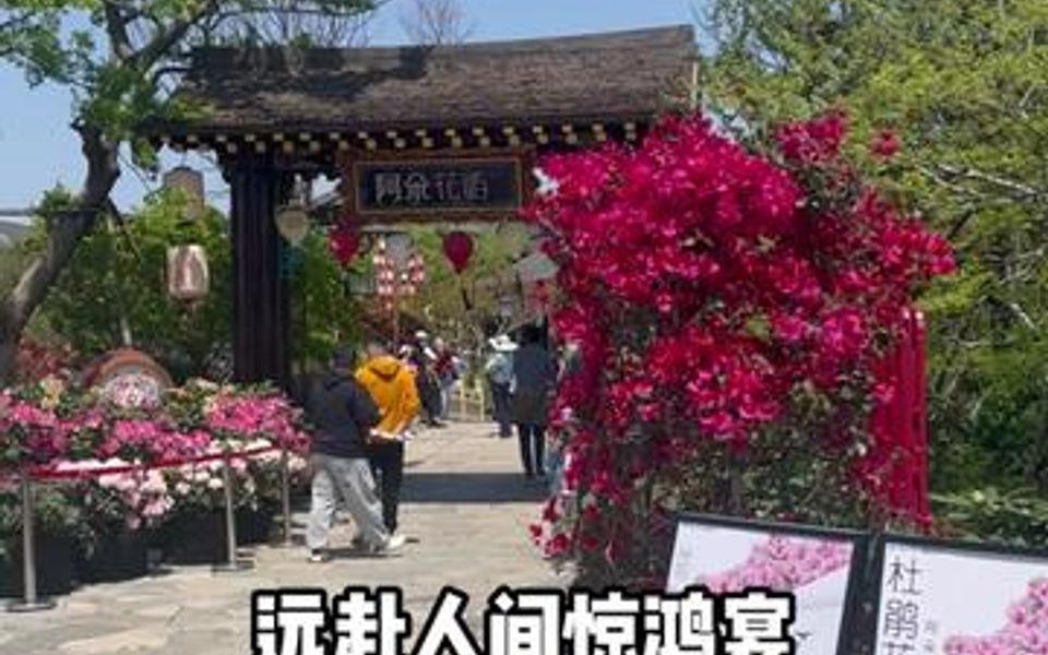 五一不知道去哪玩,就来阿朵花屿看花海呀!哔哩哔哩bilibili