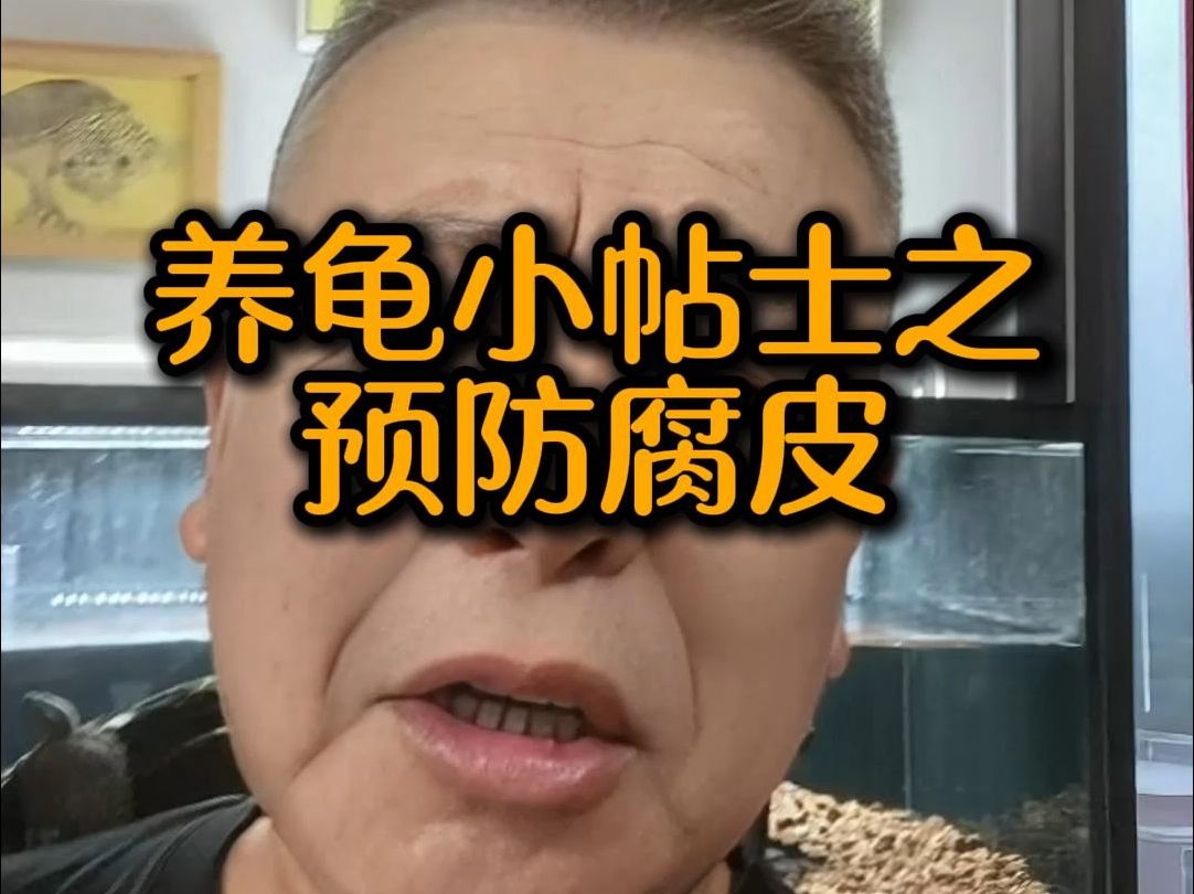 养龟小贴士预防腐皮