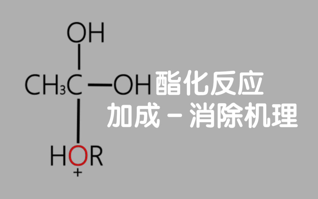 酯化反应的加成消除机理哔哩哔哩bilibili