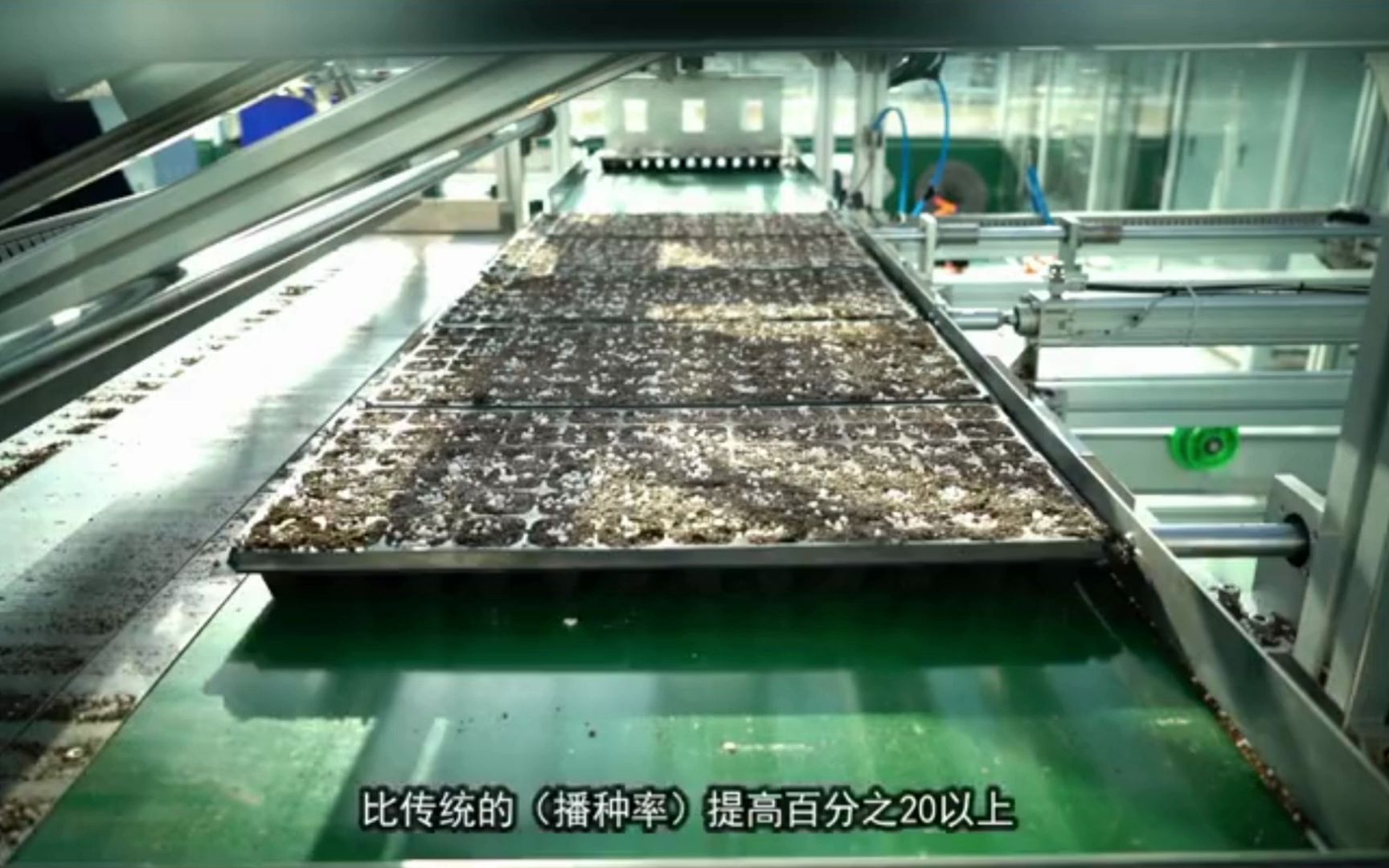 智能温室蔬菜育苗全程数字化,一个人就能育300万株哔哩哔哩bilibili