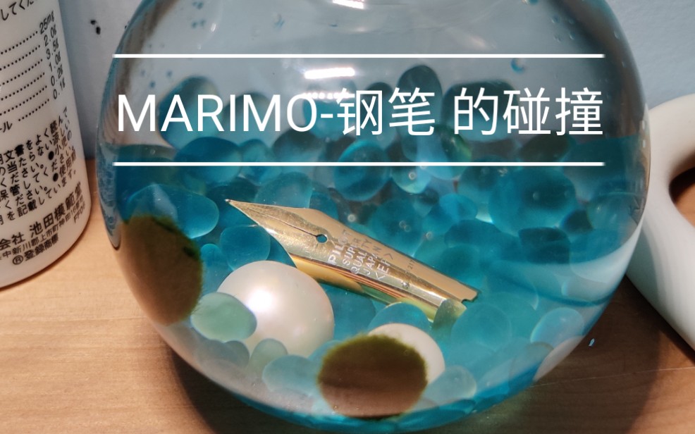 【MARIMO】海藻球小宠物开箱钢笔与海藻的碰撞哔哩哔哩bilibili