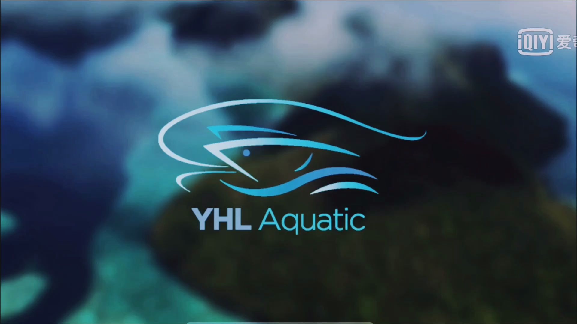 YHL Aquatic 源兴水产 前后进展哔哩哔哩bilibili