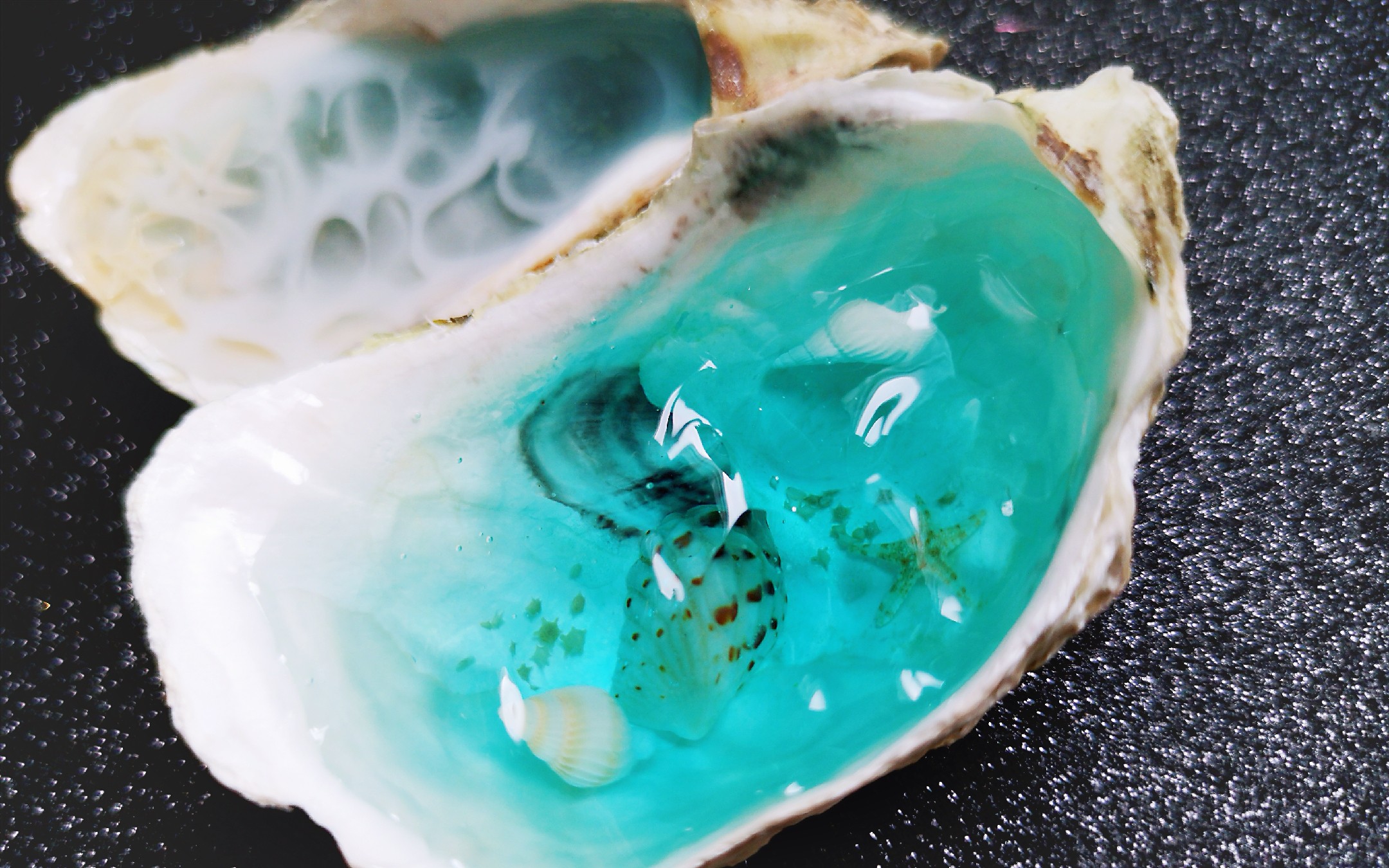 滴胶贝壳里的马尔代夫