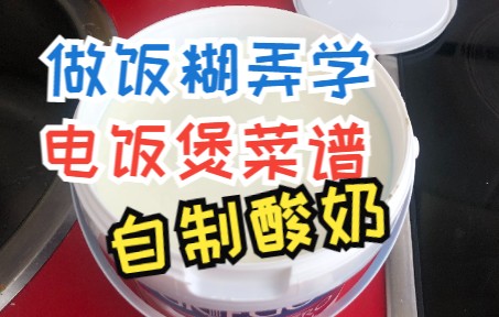 做饭糊弄学之电饭煲酸奶哔哩哔哩bilibili