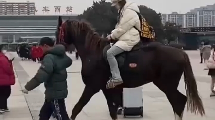 “老铁们,我现在在马上很尴尬.”你先别尴尬,这是漯河文旅牵出来的百万级汗血宝马,我们在漯河几十年了也没这待遇!哔哩哔哩bilibili