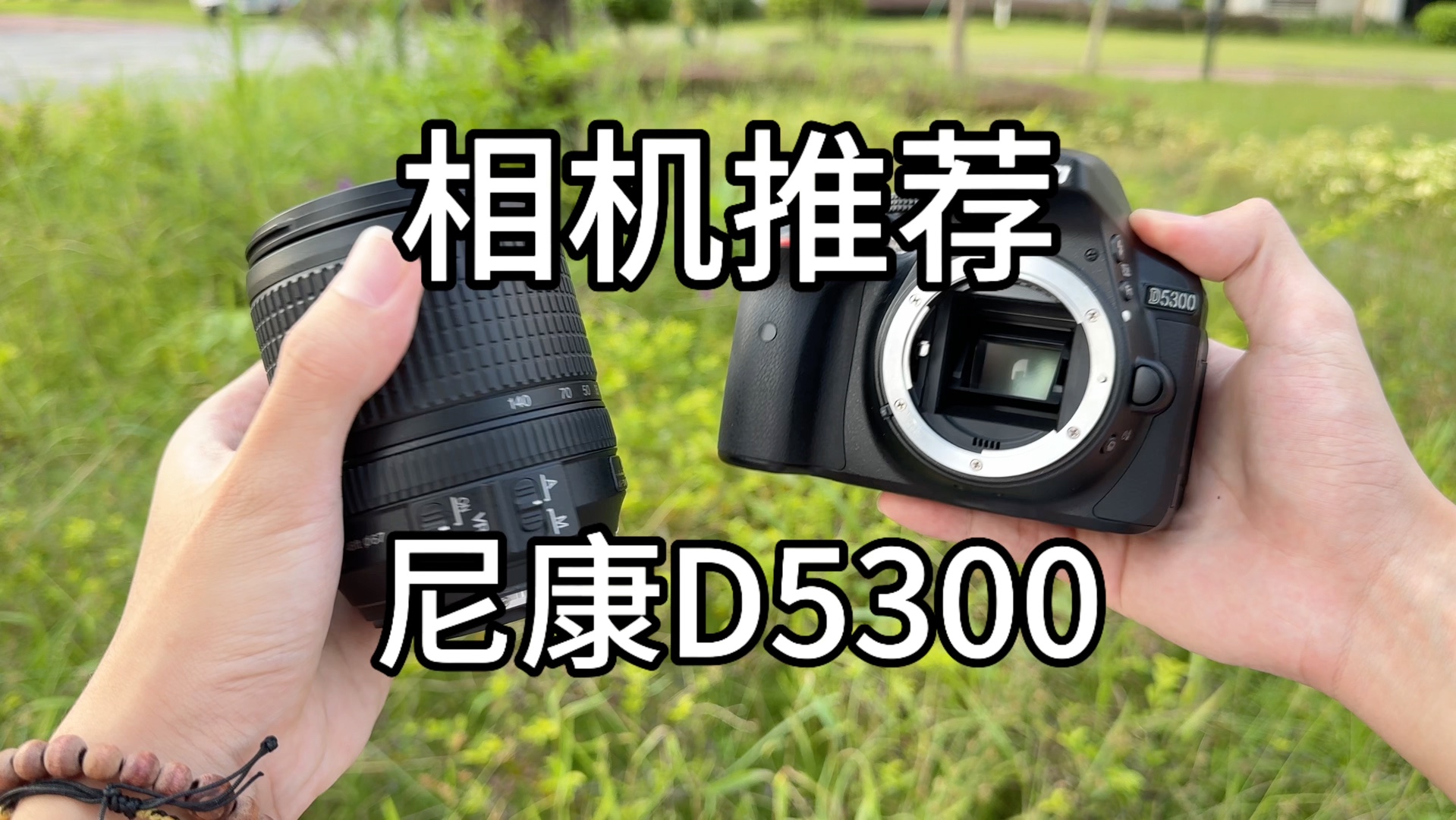 尼康d5300图片图片