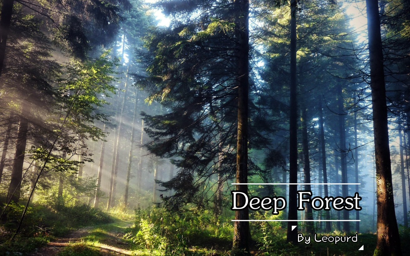 Deep Forest_哔哩哔哩_bilibili