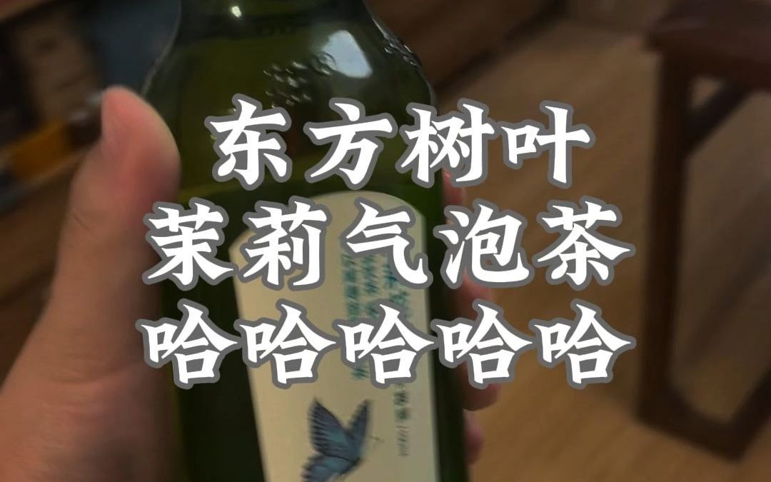 什么?这茶有沫子?那是茶皂素!哔哩哔哩bilibili