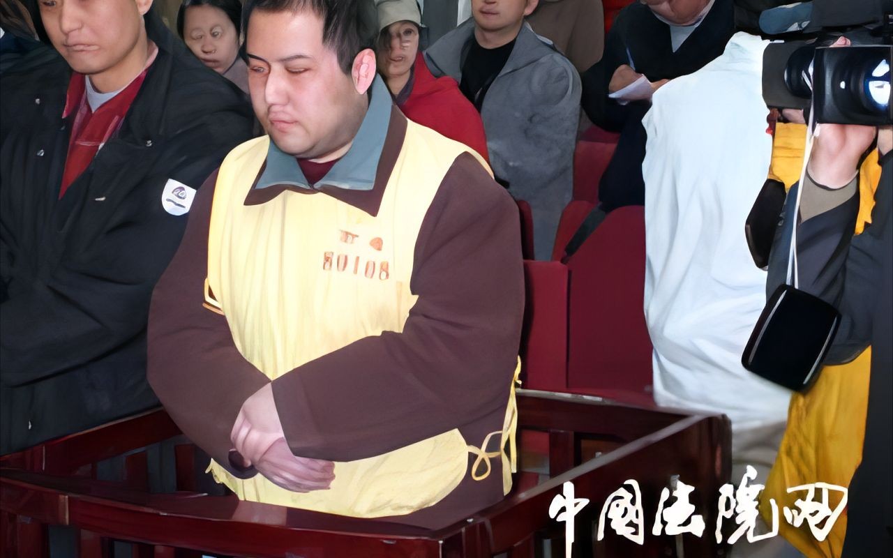 刑事2003年李宁组织同性卖淫案哔哩哔哩bilibili