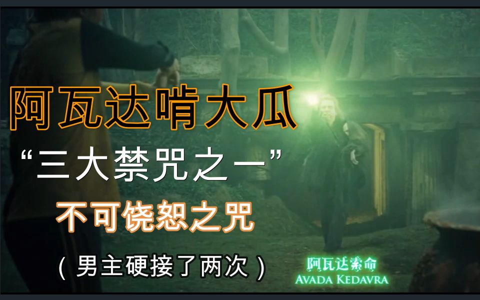 哈利波特最强杀戮咒阿瓦达啃大瓜