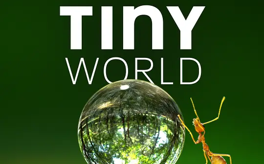 [图]豆瓣评分9.6！给孩子看的纪录片《小小世界 Tiny World》全2季（英音中英字幕版）