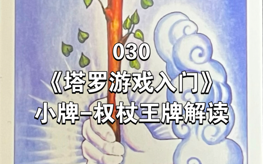 030《塔罗游戏入门》小阿尔卡纳牌权杖王牌 ACE OF WANDS哔哩哔哩bilibili