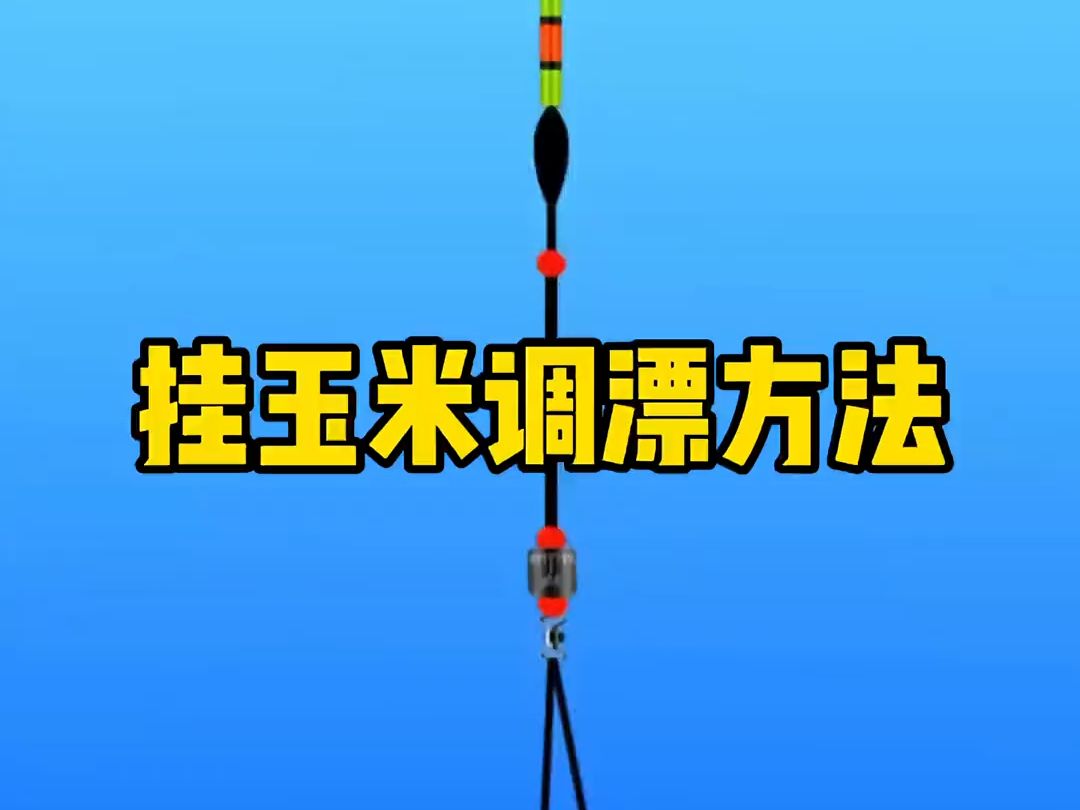 挂玉米的调漂方法,非常简单实用,新手看一遍就能学会!哔哩哔哩bilibili