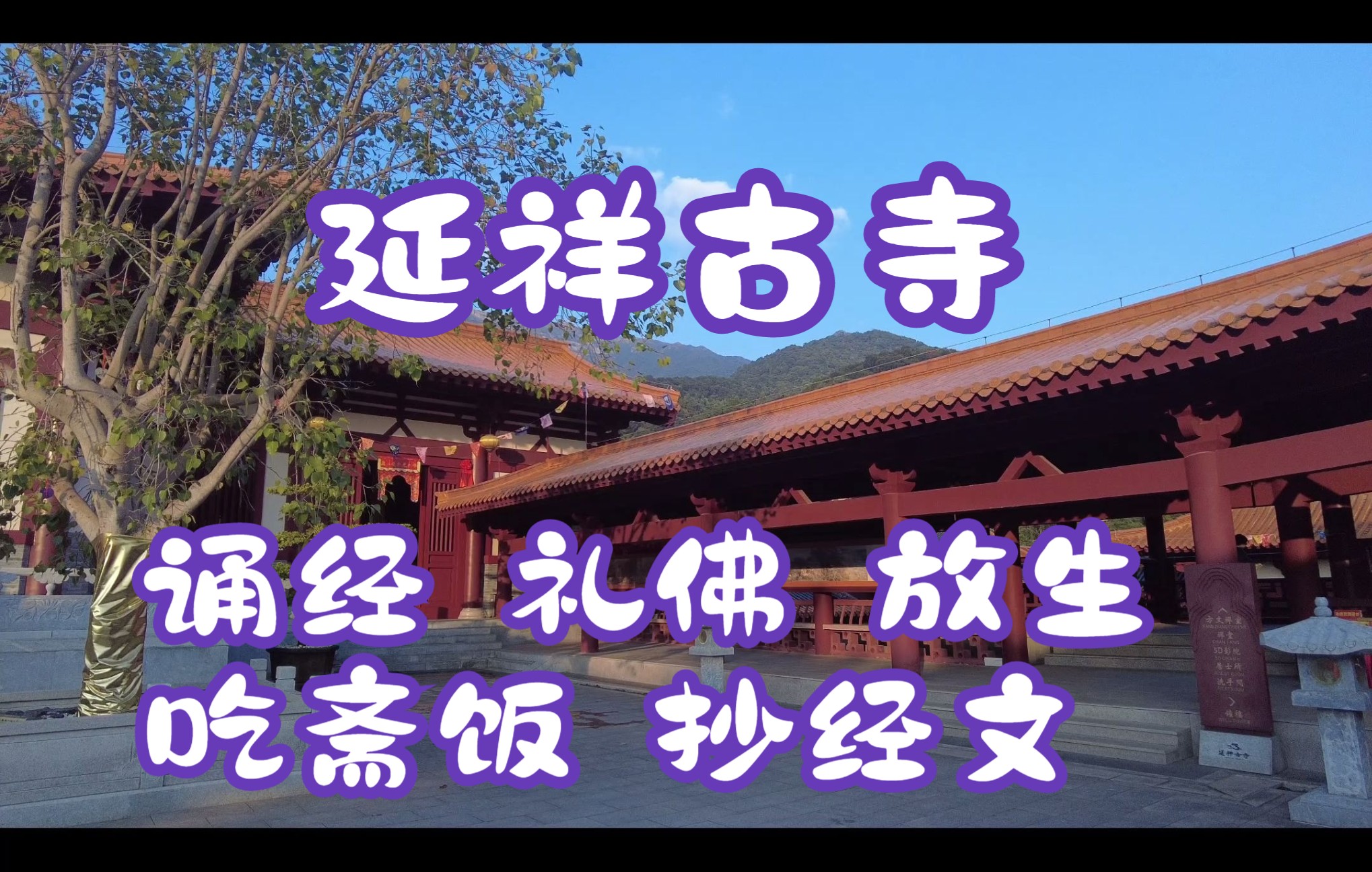 延祥古寺哔哩哔哩bilibili