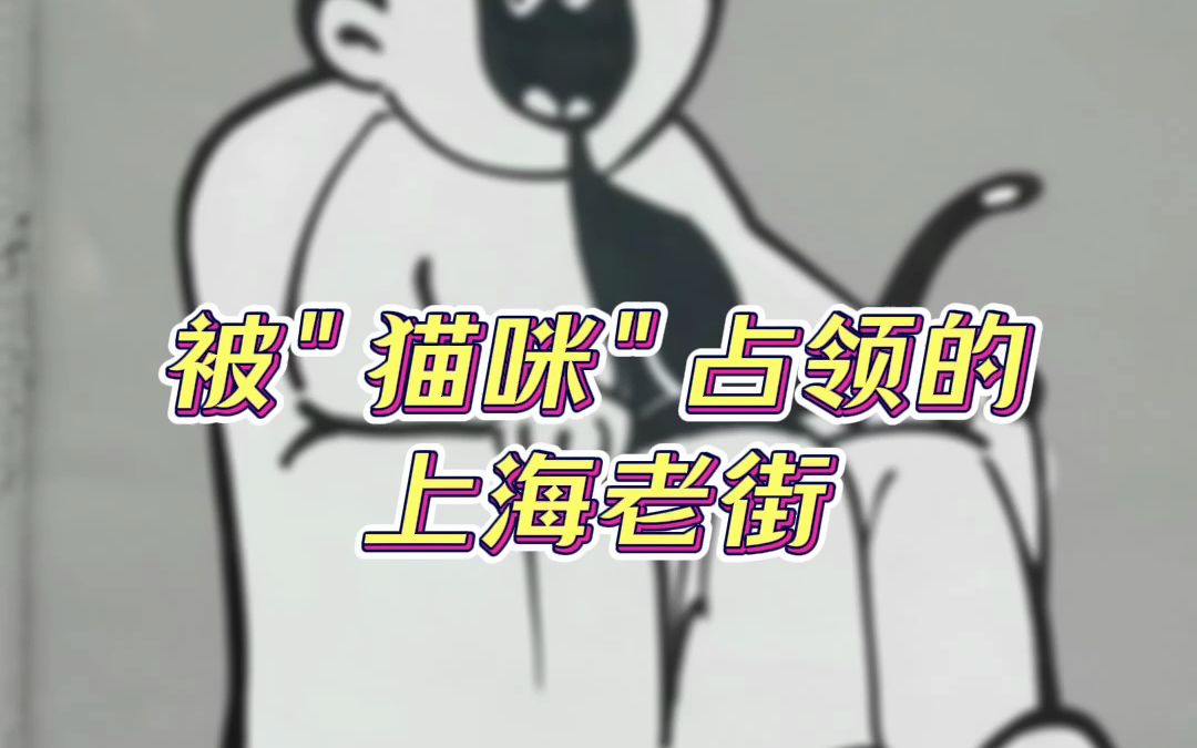 喵喵喵喵喵哔哩哔哩bilibili