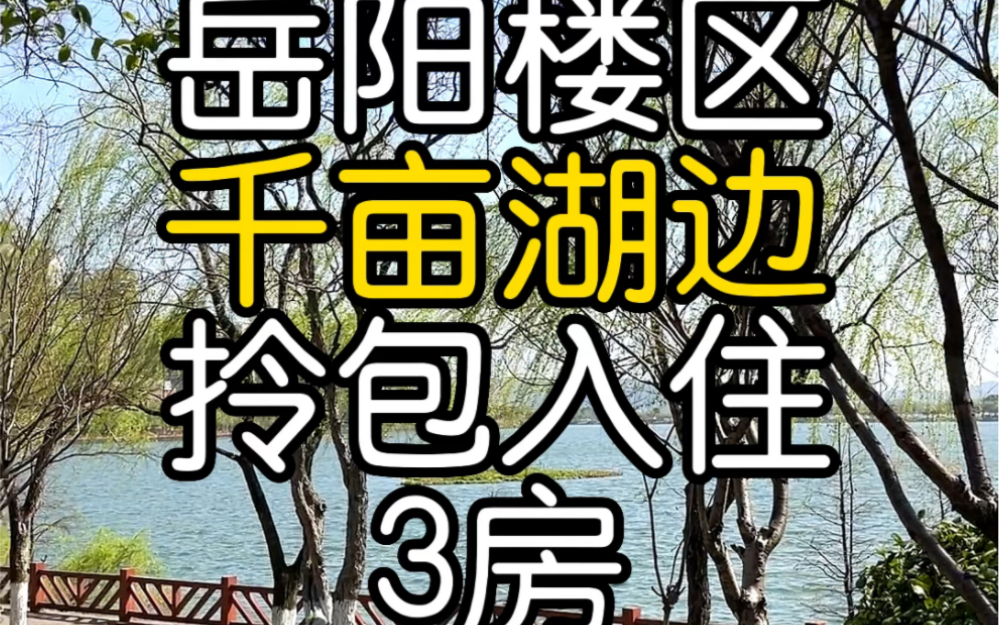 岳阳千亩湖比杭州西湖更漂亮.哔哩哔哩bilibili