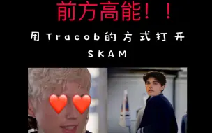 Download Video: 用Tracob的方式打开SKAM2