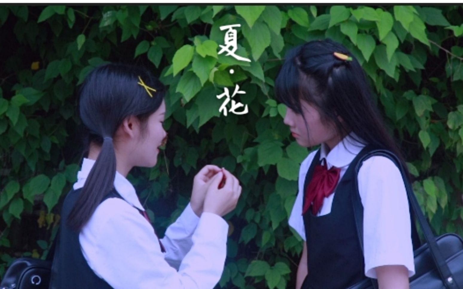 柴粒《小湾日记》08 你吸过花蜜吗?吃过哪些花?哔哩哔哩bilibili