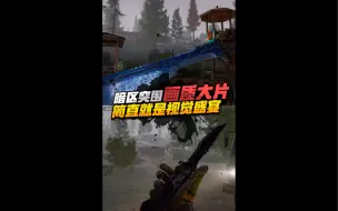 Download Video: 暗区突围画质大片