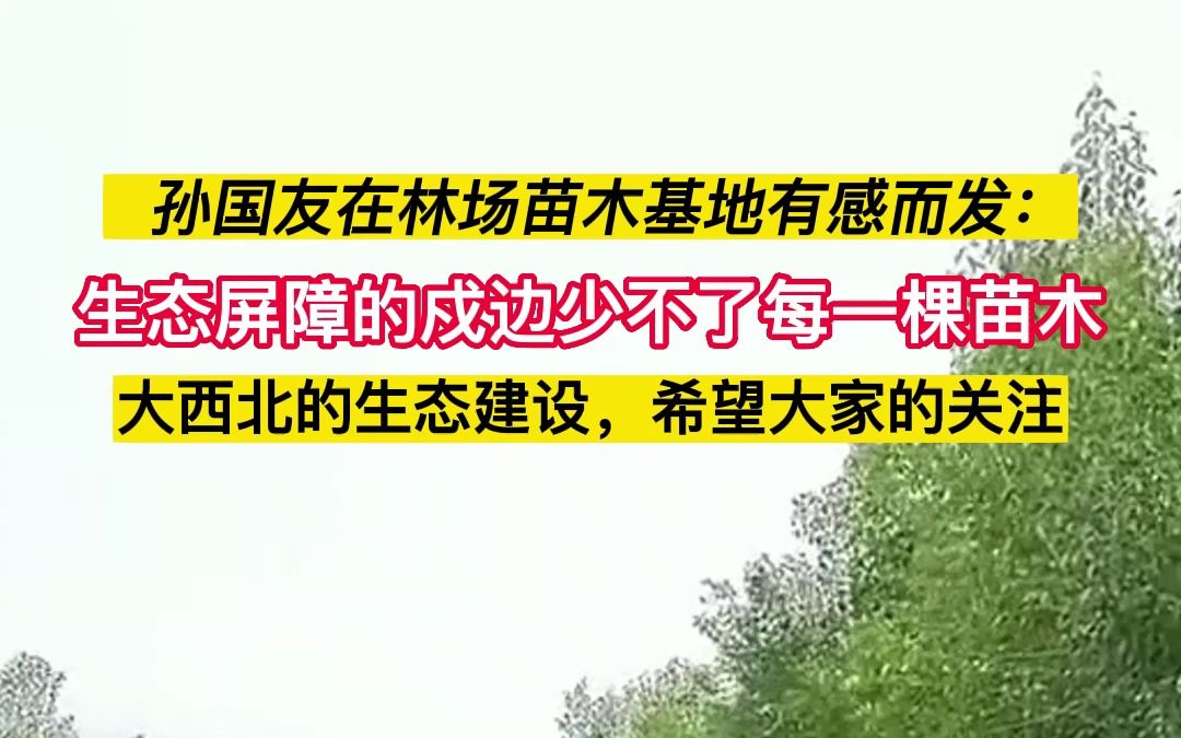 孙国友在林场苗木基地有感而发:生态屏障的戍边少不了每一棵苗木.哔哩哔哩bilibili