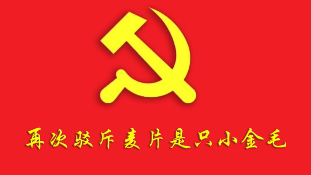 再次驳斥麦片是只小金毛,不能忽视内部矛盾——童润中2025.9-童润中_-童润中_-哔哩哔哩视频