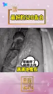 Download Video: 最好的520告白，猫头鹰爸爸穿梭在雨夜里觅食，淋成了落汤鹰，就怕在孵蛋的鹰妈饿坏了