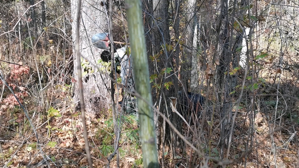 【长白山野人王】我的最新作品,快来一睹为快!