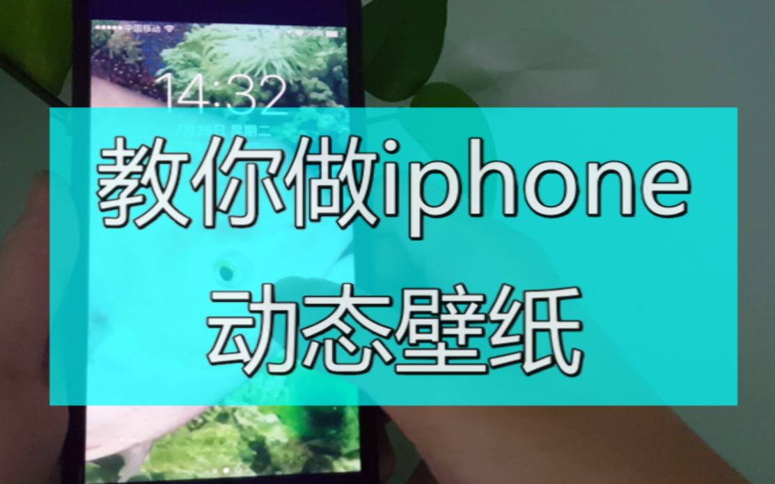 [奇兔资讯]教你如何设置iphone动态壁纸哔哩哔哩bilibili