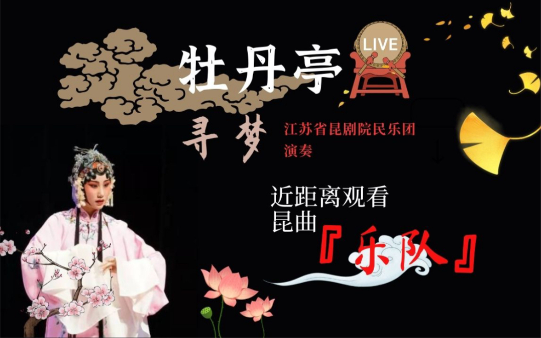 【昆曲】记录昆曲乐队——《牡丹亭ⷥﻦ⦣€‹【嘉庆子】哔哩哔哩bilibili