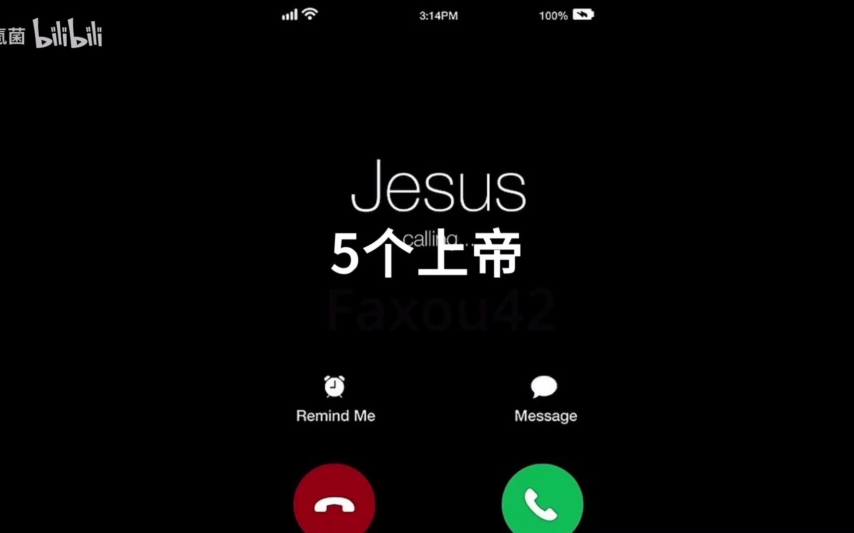 小鸟jesus表情包图片