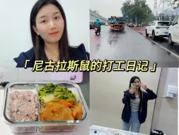 Download Video: 27岁山西女孩北京打工日记Vlog105