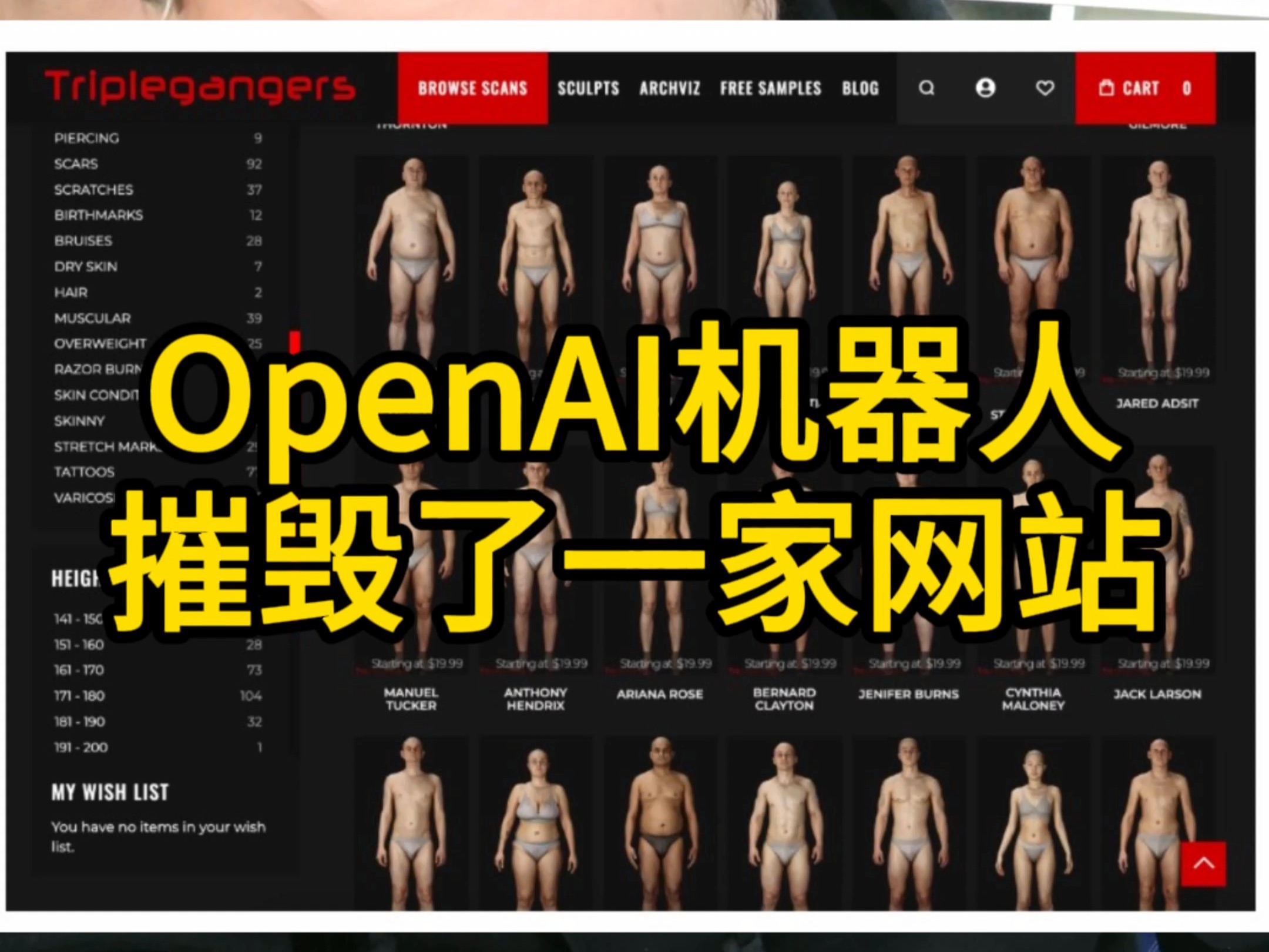 OpenAI机器人摧毁了一家网站哔哩哔哩bilibili