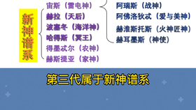 谁发明了扑克牌 哔哩哔哩 つロ干杯 Bilibili