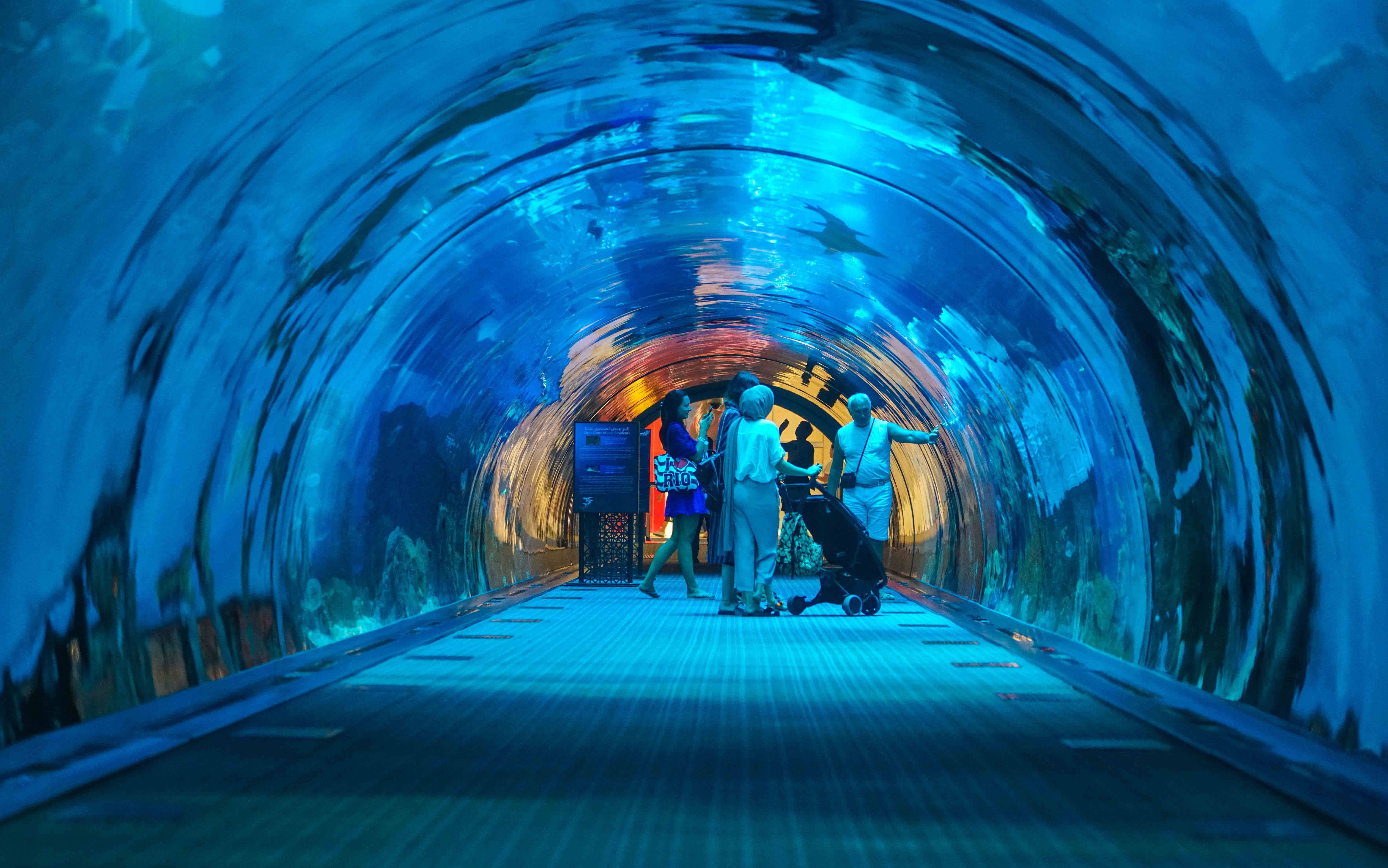 【迪拜】探全球最大室内水族馆