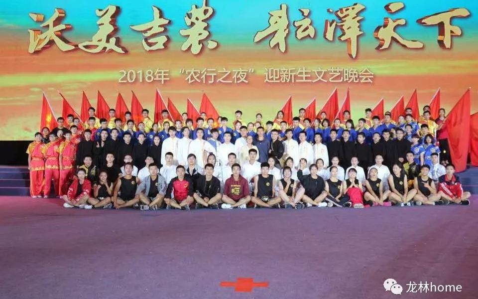 这才是别人家的武术协会!!!哔哩哔哩bilibili