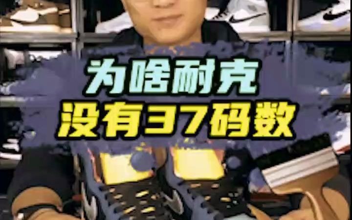 为什么NK的鞋子没有37码数呢?哔哩哔哩bilibili