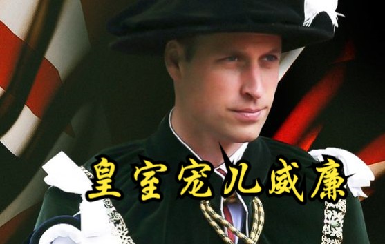 【美国】【纪录片】皇室宠儿威廉 Royal darling William哔哩哔哩bilibili