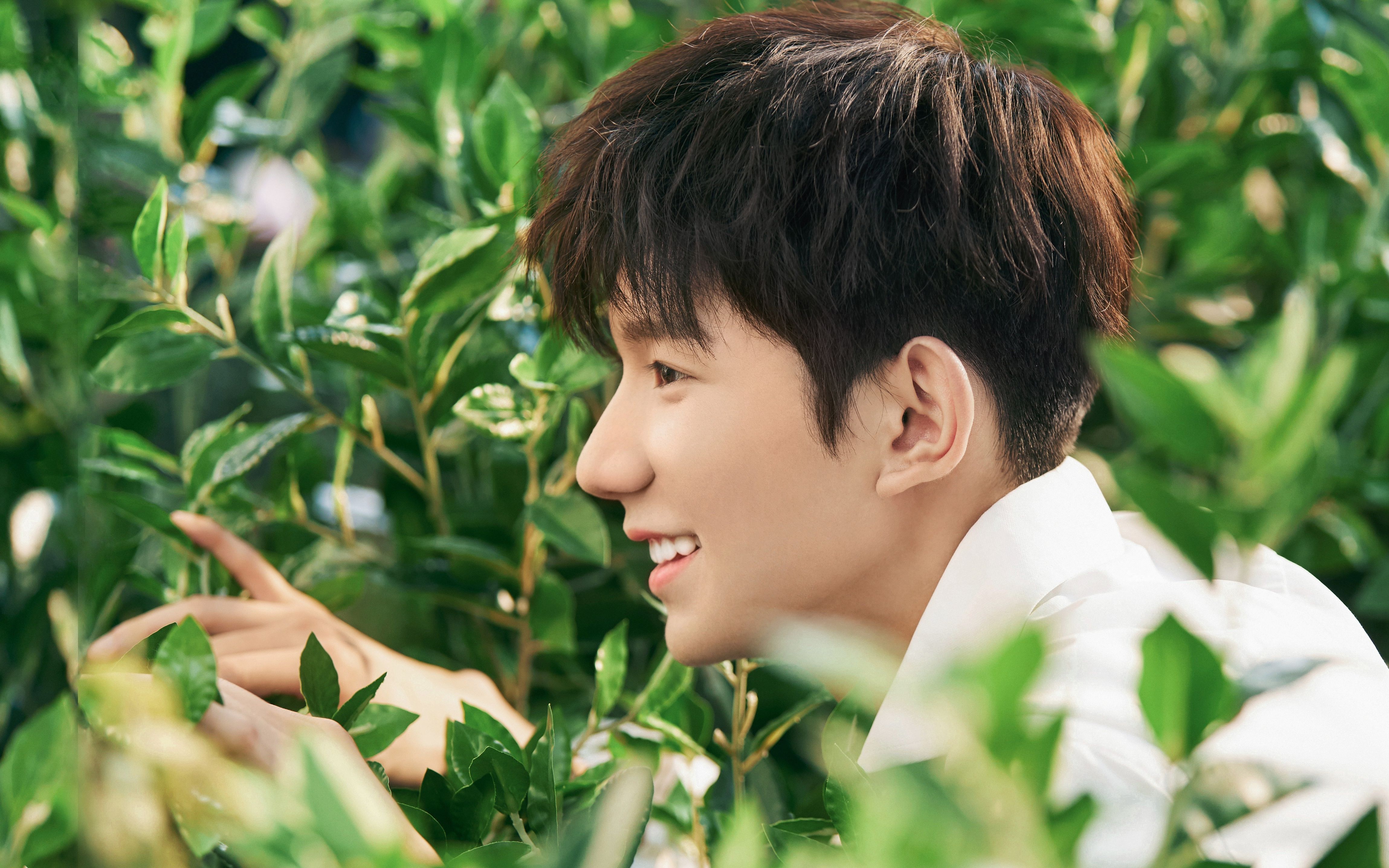 20190725王源视频汇总 馥蕾诗fresh七夕推广/蒙牛go畅推广广告cut