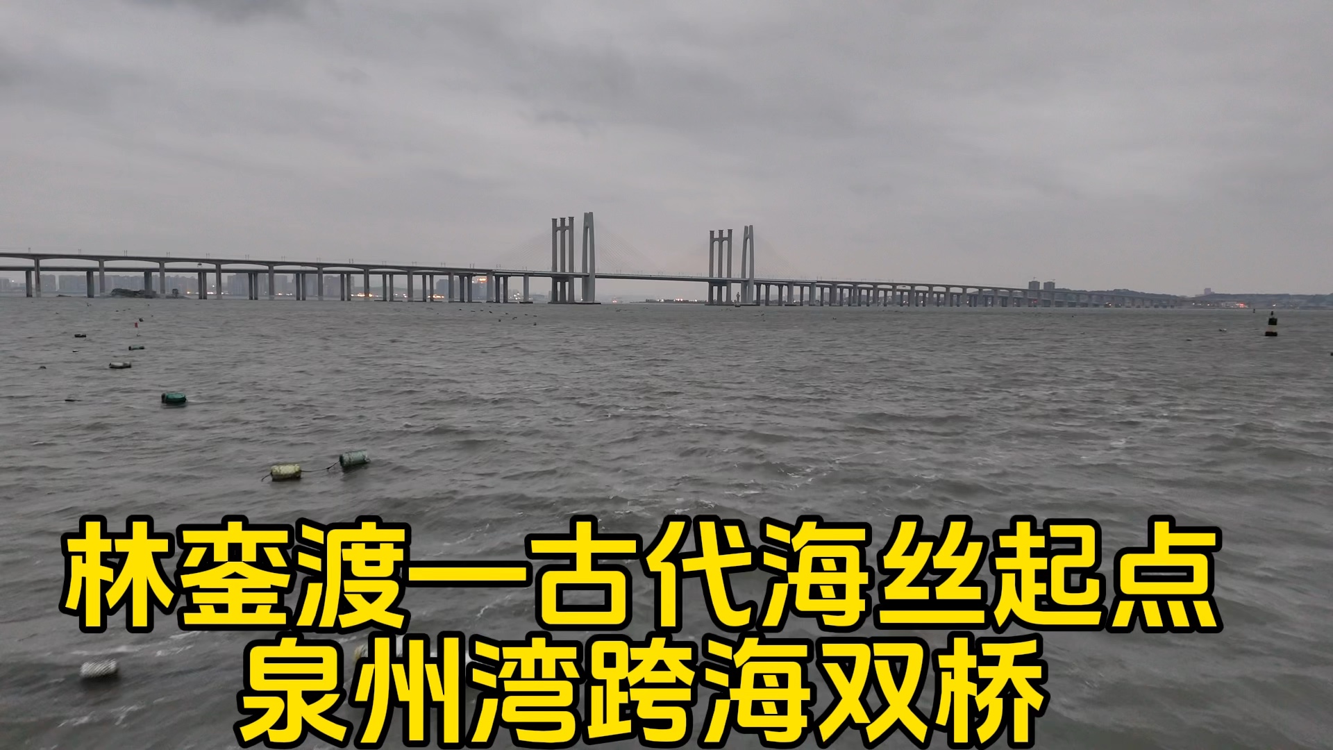 泉州灣跨海大橋,林鑾渡渡口