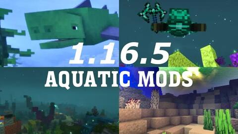 Minecraft1 16 5中9个最佳的地牢类mod Forge 电影级运镜 哔哩哔哩 Bilibili Minecraft1 16 5中9个最佳的地牢类mod Forge 电影级运镜 哔哩哔哩 Bilibili