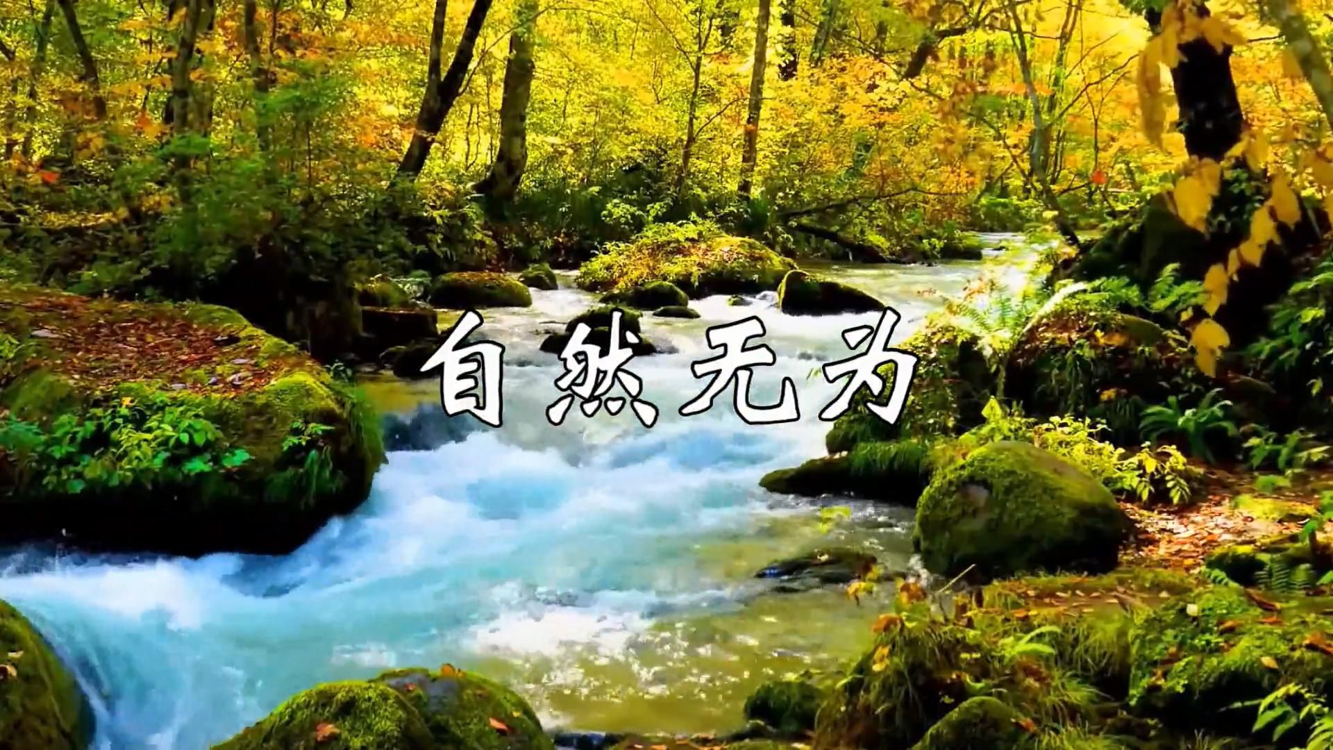 古琴禅乐《自然无为》,清幽淡雅,静心安神,放松身心