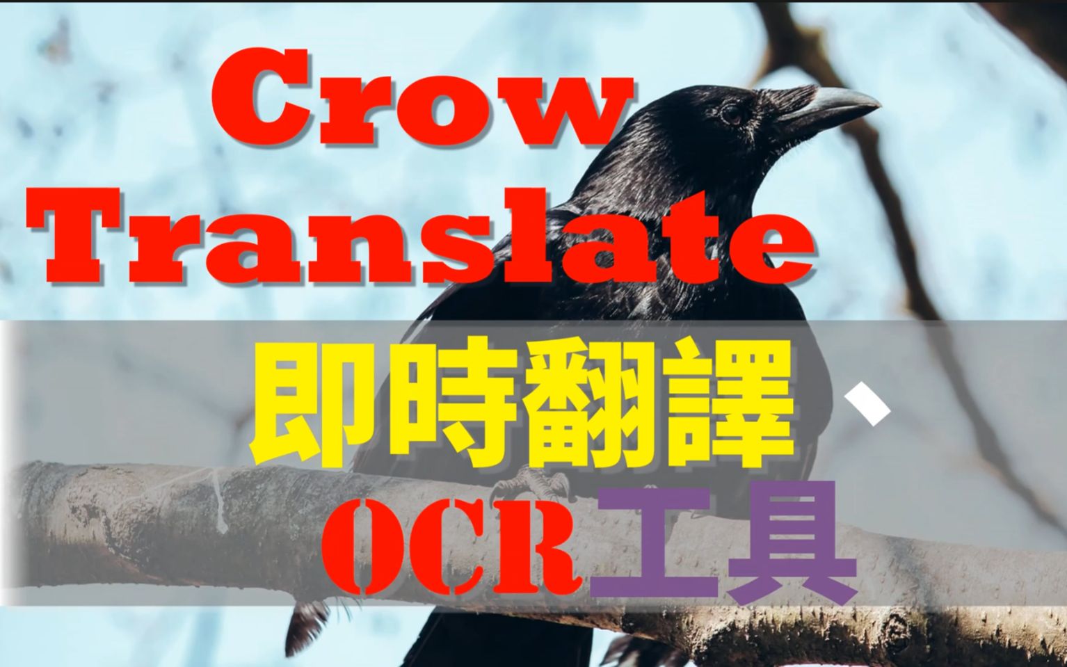 跨平台的免费即时翻译工具:Crow Translate,内建语音与OCR功能哔哩哔哩bilibili