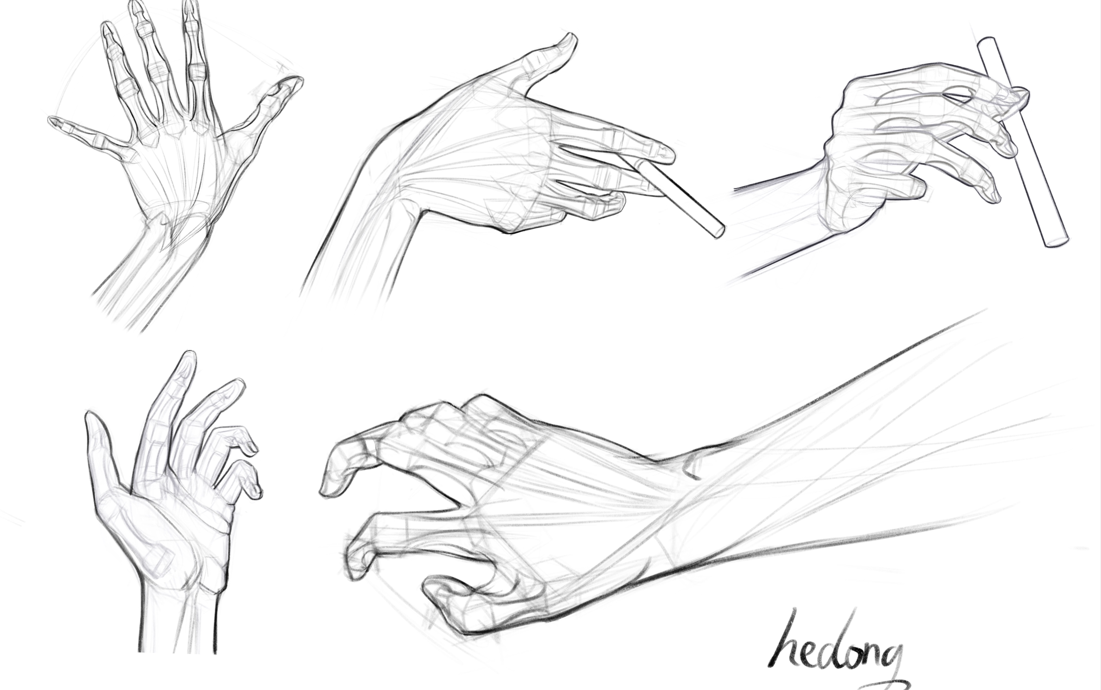 【ipad绘画】手部动态结构练习绘画教程