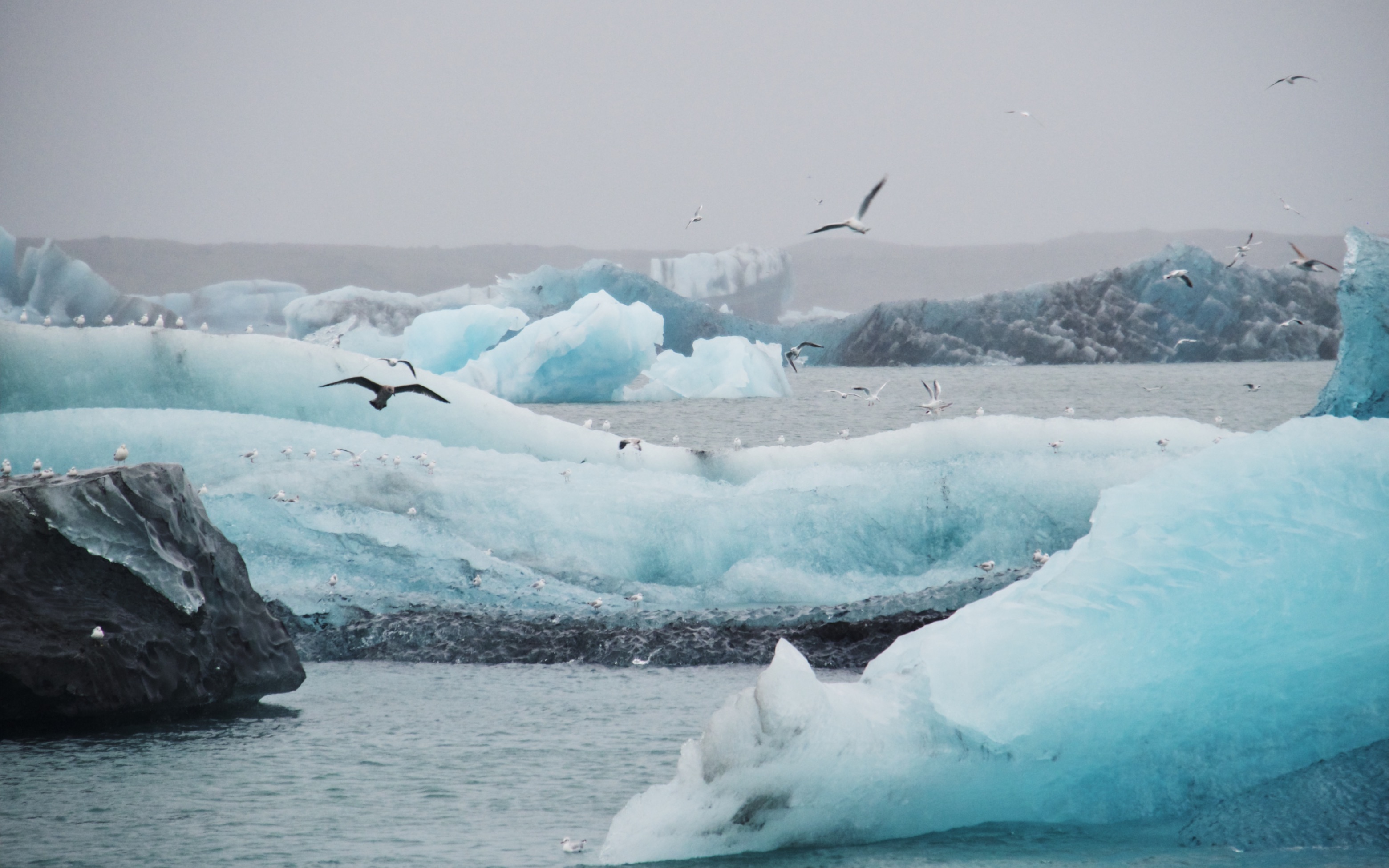 [图]「冰岛游记」Iceland 2019｜Dirty Paws